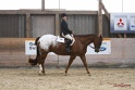 07_Greenhorn-Greenhorse Hunter Under Saddle